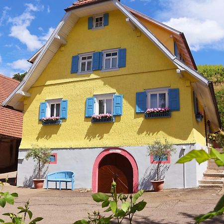 Appartement Winzerhof Maennle à Oberkirch  Extérieur photo