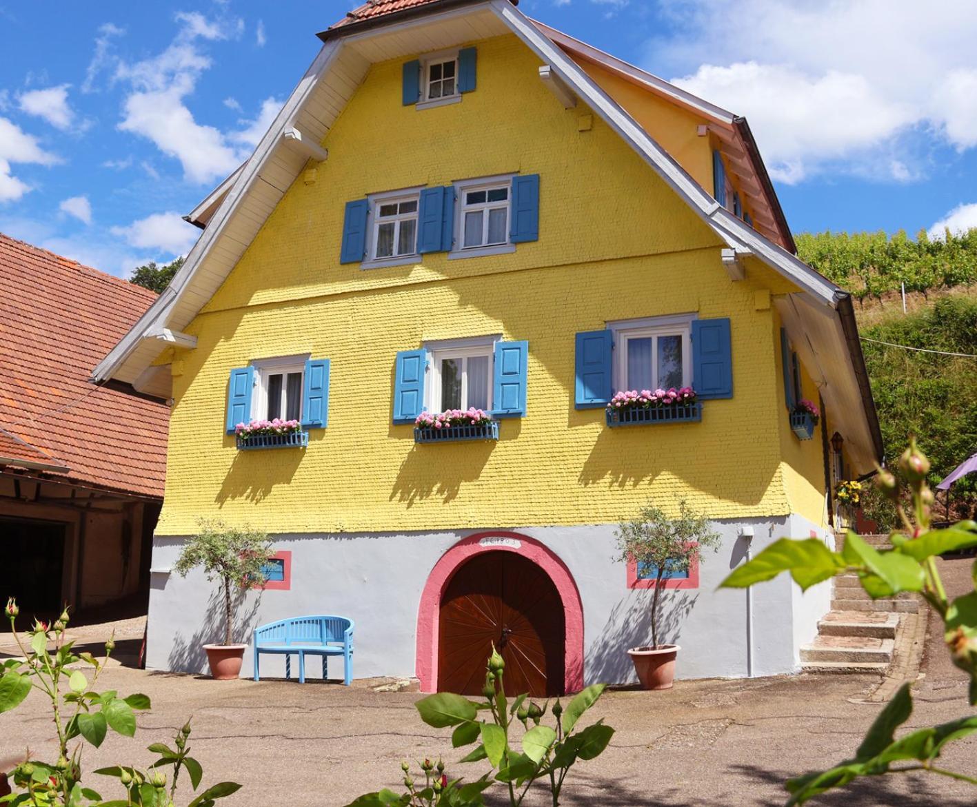 Appartement Winzerhof Maennle à Oberkirch  Extérieur photo